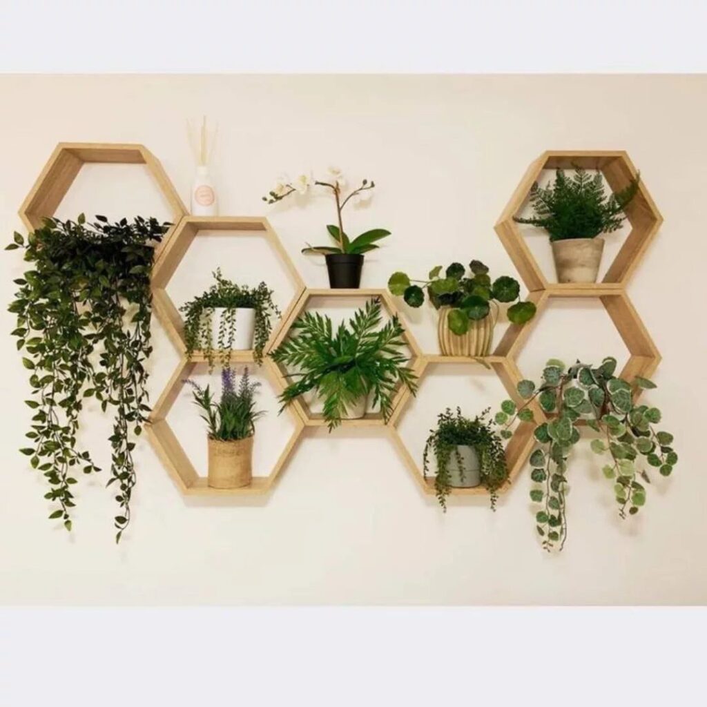 Hexagonal wooden wall shelves holding various green potted plants on a white wall